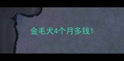 金毛犬4个月多钱