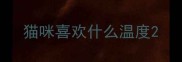 猫咪喜欢什么温度