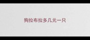 狗拉布拉多几元一只