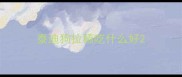 泰迪狗拉稀吃什么好