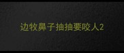边牧鼻子抽抽要咬人