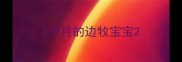 6个月的边牧宝宝