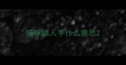猫咪舔人手什么意思