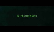 哈士奇4月份还掉毛