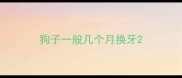 狗子一般几个月换牙