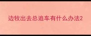 边牧出去总追车有什么办法