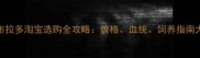 纯种拉布拉多淘宝选购全攻略价格血统饲养指南大公开
