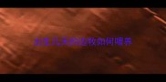 出生几天的边牧如何喂养