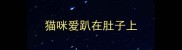 猫咪爱趴在肚子上