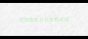 宠物兔吃什么食物最好