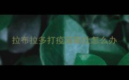 拉布拉多打疫苗呕吐怎么办