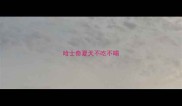 哈士奇夏天不吃不喝