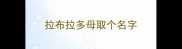 拉布拉多母取个名字