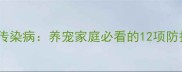 科学预防犬类传染病养宠家庭必看的12项防护措施全攻略