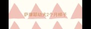 萨摩耶幼犬2个月样子