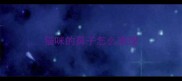 猫咪的鼻子怎么清理