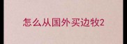 怎么从国外买边牧