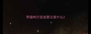 带猫咪打疫苗要注意什么