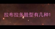 拉布拉多脸型有几种