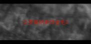 公罗威纳串母金毛