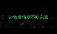 边牧发情期不吃东西