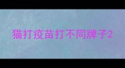 猫打疫苗打不同牌子