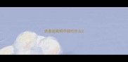 给泰迪狗狗不能吃什么