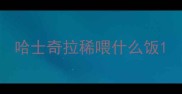 哈士奇拉稀喂什么饭