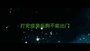 打完疫苗后狗不能出门