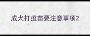 成犬打疫苗要注意事项