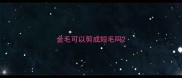 金毛可以剪成短毛吗