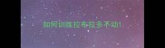如何训练拉布拉多不动