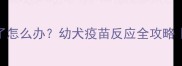 狗狗打疫苗后吐了怎么办幼犬疫苗反应全攻略附呕吐处理指南