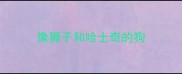 像狮子和哈士奇的狗