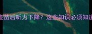狗狗打疫苗后听力下降这些知识必须知道