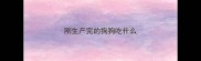 刚生产完的狗狗吃什么