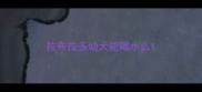 拉布拉多幼犬能喝水么