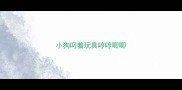 小狗叼着玩具哼哼唧唧