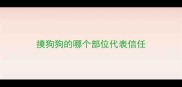 摸狗狗的哪个部位代表信任