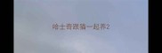 哈士奇跟猫一起养