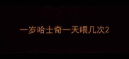 一岁哈士奇一天喂几次