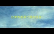 比熊狗都要打哪些疫苗