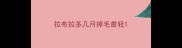 拉布拉多几月掉毛最轻