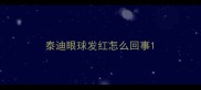 泰迪眼球发红怎么回事