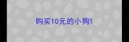 购买10元的小狗