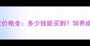 拉布拉多黑色犬价格全多少钱能买到饲养成本及选购指南