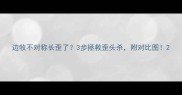 边牧不对称长歪了3步拯救歪头杀附对比图