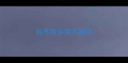 拉布拉多穿衣服吗