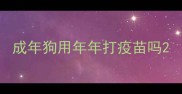 成年狗用年年打疫苗吗
