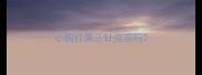 小狗打第三针疫苗吗